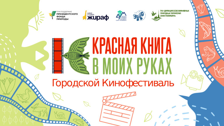В Санкт-Петербурге стартует прием заявок на молодежный кинофестиваль о природе