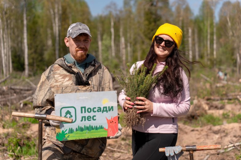 Ко Дню Победы запущена акция «Лес Победы» с посадкой деревьев в честь ветеранов