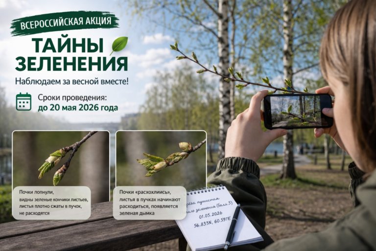 В России стартовала фенологическая акция «Тайны зеленения»