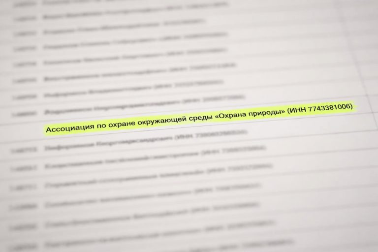 Минюст признал иноагентом связанную с бывшими сотрудниками Greenpeace* ассоциацию «Охрана природы»