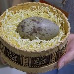 Российские и китайские орнитологи проведут совместную экспедицию по изучению стерха в Якутии