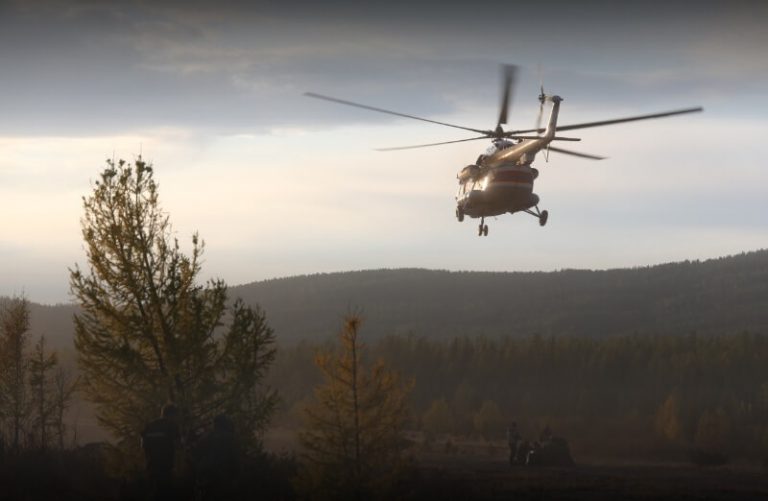 В России обновили правила пожарной безопасности в лесах