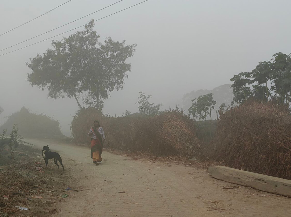 Учёные обнаружили в тумане бактерии, очищающие воздух от токсинов