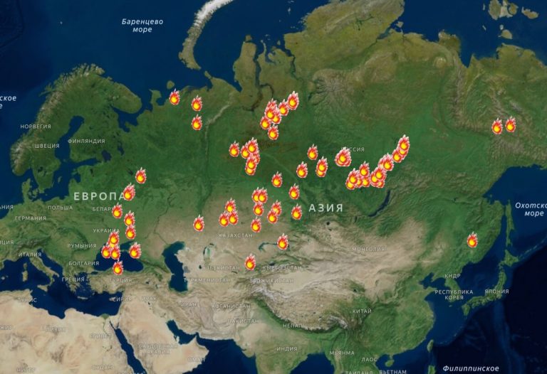 В России за сутки почти вдвое выросла площадь действующих лесных пожаров