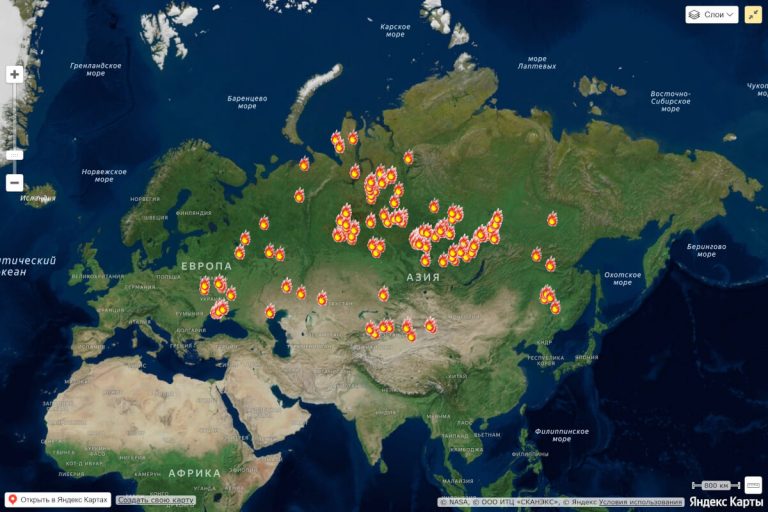 Площадь действующих лесных пожаров в России превысила 41 тысячу гектаров