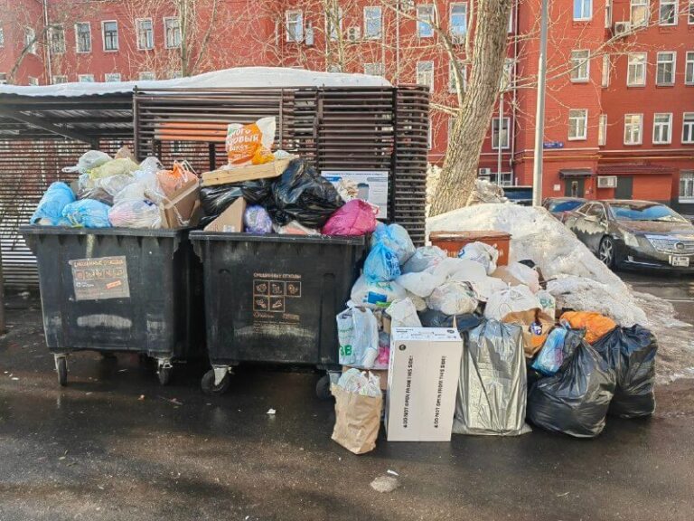 Российские регионы за две недели должны навести порядок на контейнерных площадках