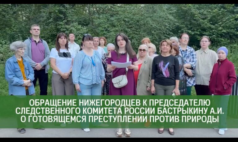 Жители Нижнего Новгорода обратились к Александру Бастрыкину с просьбой защитить лес в Щербинках