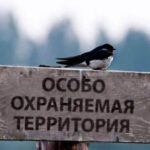 В Красноярском крае создадут новый заповедник
