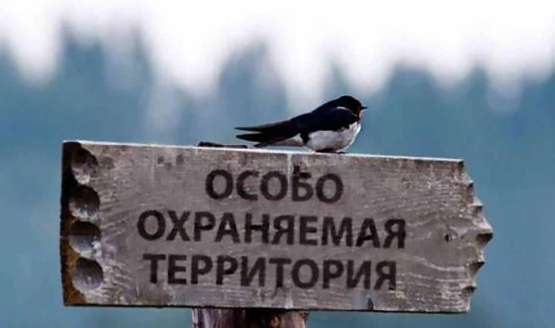 В Красноярском крае создадут новый заповедник