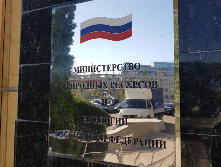 Минприроды предложило учитывать расходы нарушителей на восстановление природы при расчете экоущерба