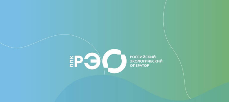 Мишустин сменил председателя наблюдательного совета ППК РЭО