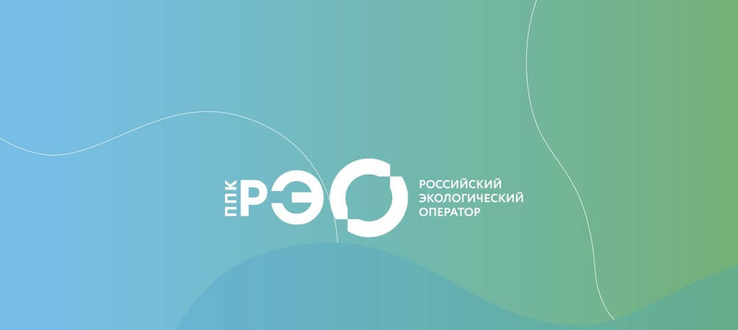 Мишустин сменил председателя наблюдательного совета ППК РЭО