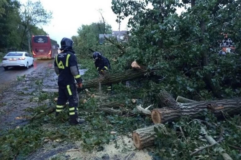 Один человек погиб и 111 поездов задержались из-за непогоды в Ростовской области