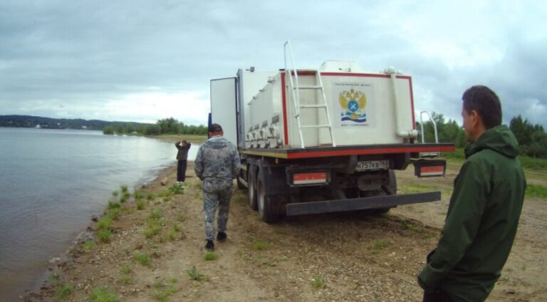 В пермские водоемы выпустили более 250 тысяч мальков