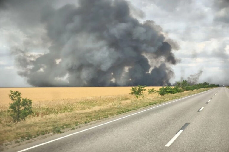 Пожар в «Аскании-Нова» уничтожил около трети заповедной степи