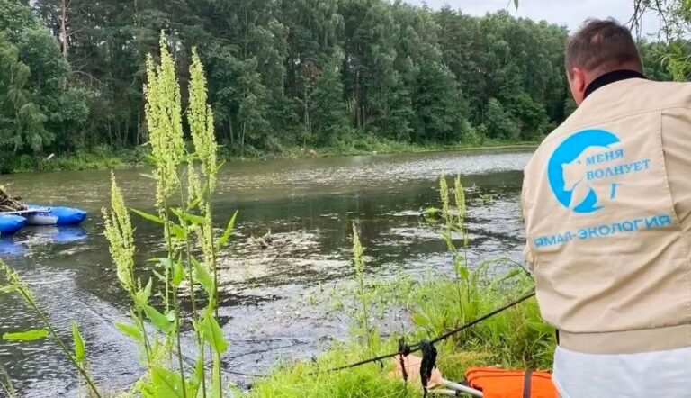 В Подмосковье завершилась расчистка Люберецкого пруда