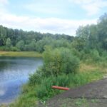 Обь и малые реки Новосибирска признали грязными