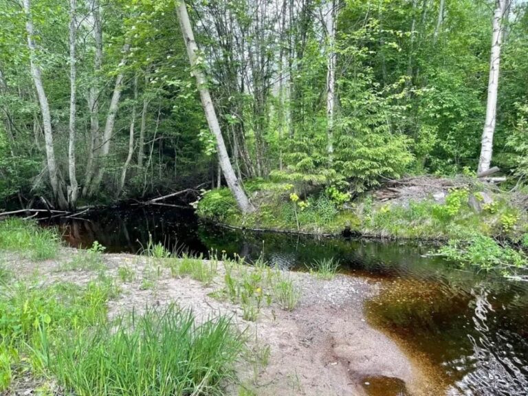 В Карелии расчистят реку Орзегу