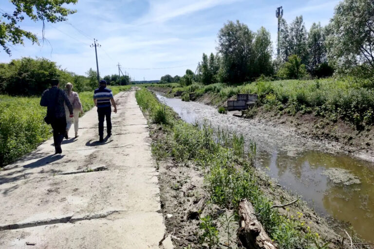 В Калининградской области вернулись к расчистке реки Товарной