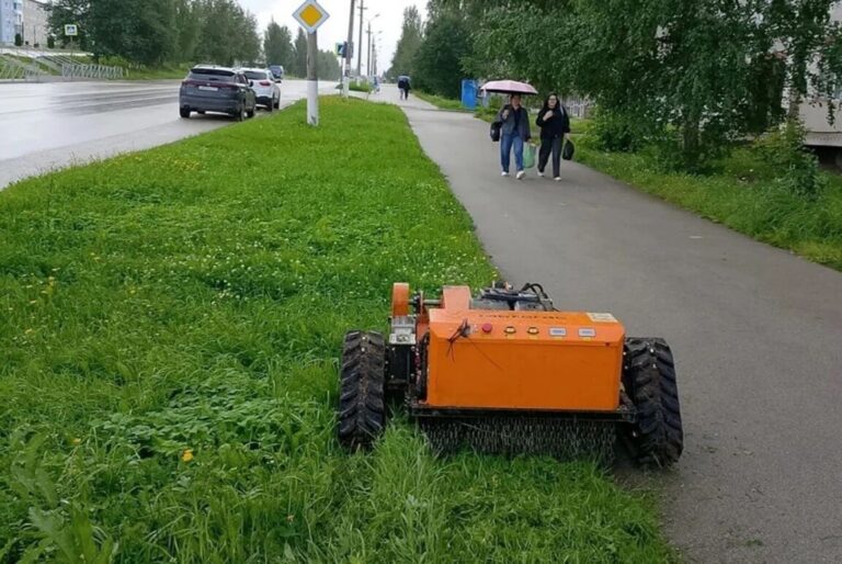 В Пермском крае на борьбу с борщевиком отправили роботов-тяжеловесов