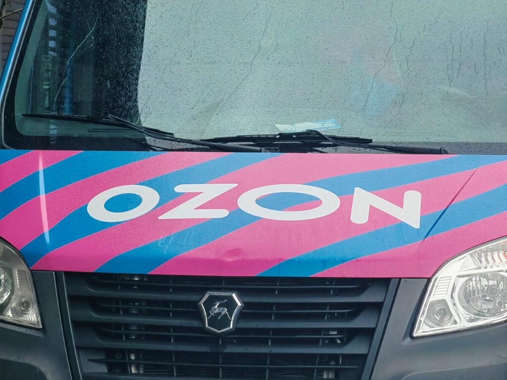 Ozon запустит сбор помощи для приютов Нижнего Новгорода