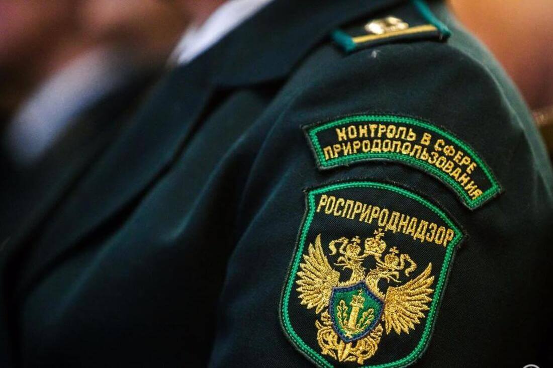 Региональный экологический контроль в России фактически ушёл от проверок к наблюдению
