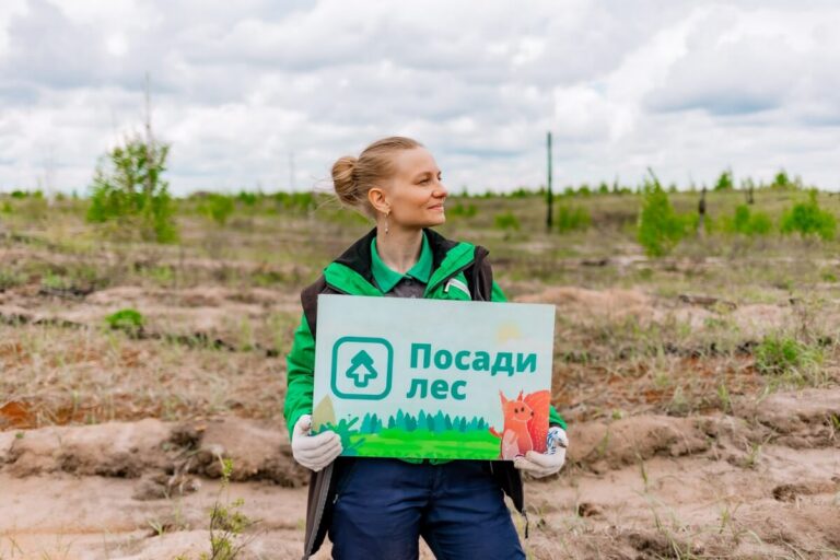 «Посади лес» готовится к осеннему сезону лесовосстановления