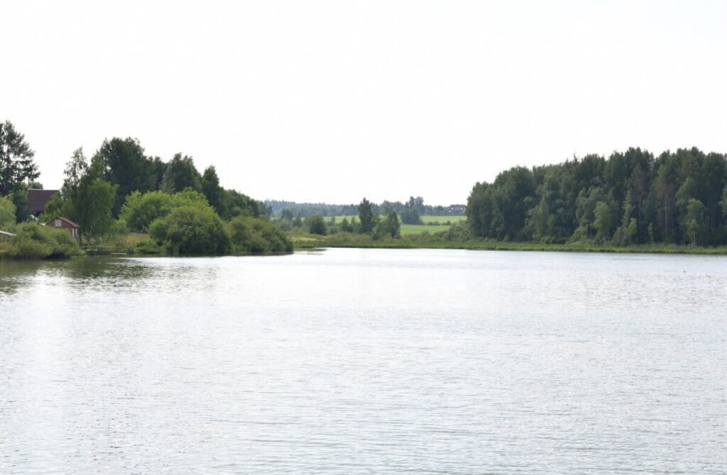 В Подмосковье расчистили самый крупный водоем сезона