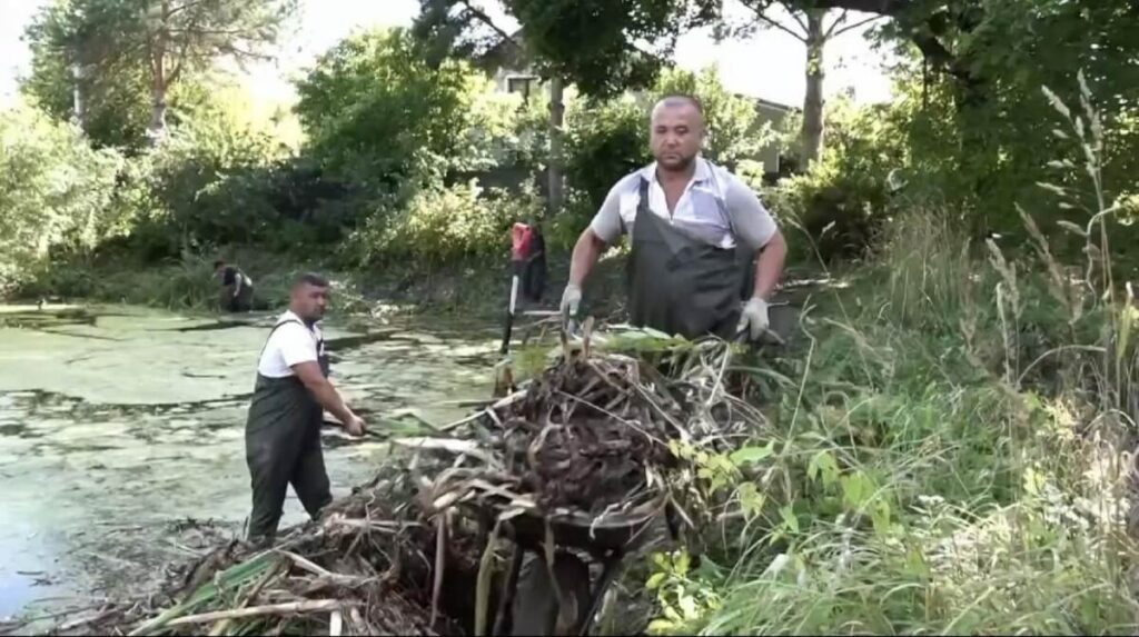 В Истре до конца сентября расчистят 28 водных объектов