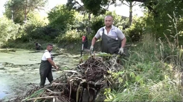 В Истре до конца сентября расчистят 28 водных объектов