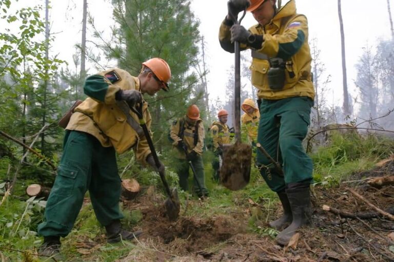 В России тушат 73 лесных пожара на площади 278 тыс. гектаров
