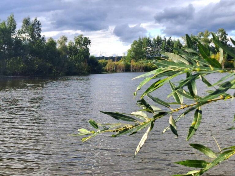 В подмосковной Кашире расчистили два деревенских пруда