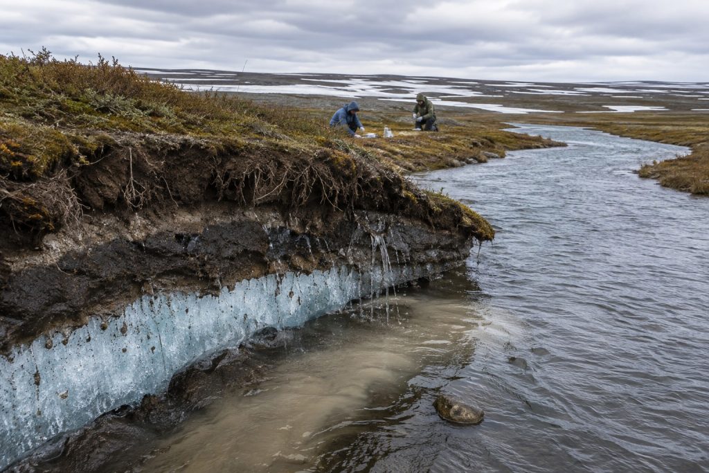 Таяние мерзлоты может усиливать поступление PFAS в арктические реки