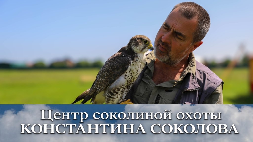 Константин Соколов с хищной птицей
