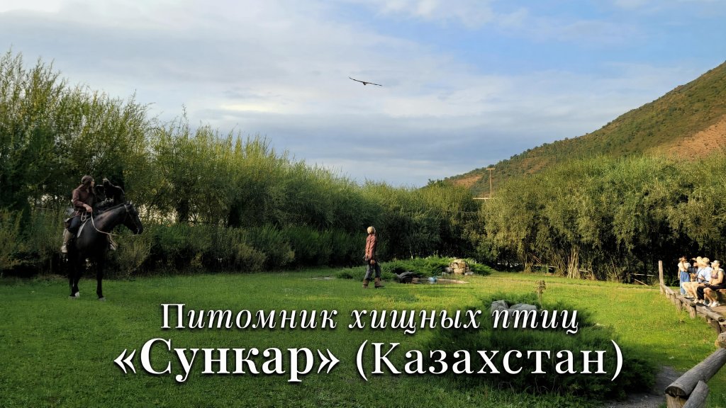 Территория питомника хищных птиц Сункар в Казахстане