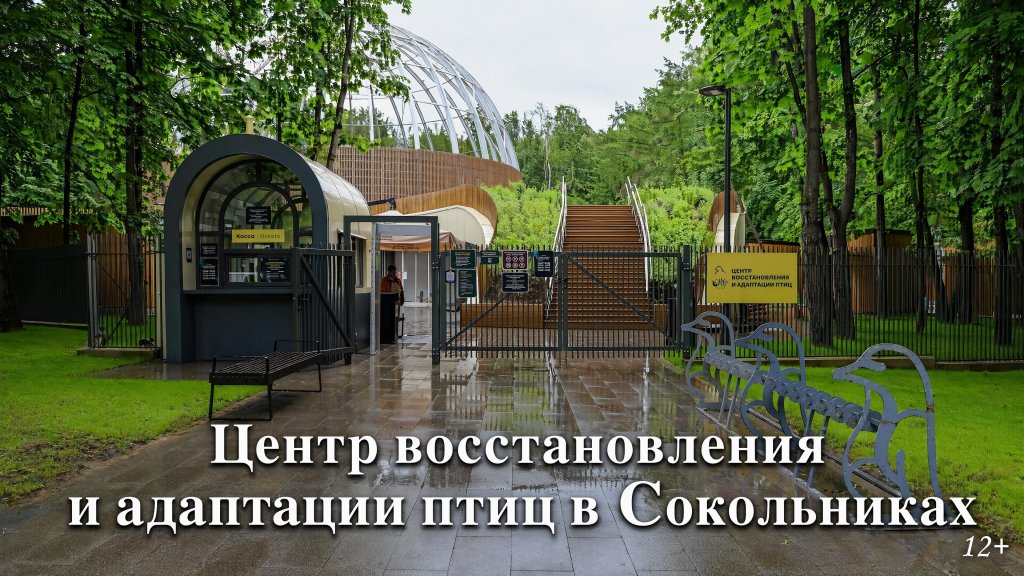Вход в Центр восстановления и адаптации птиц в Сокольниках