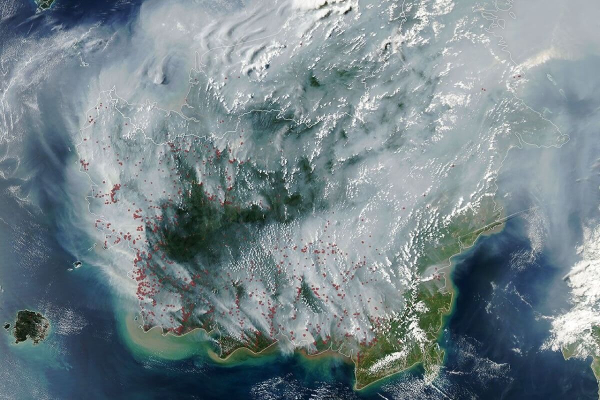 Индонезия вышла на первое место в мире по выбросам CO₂ от пожаров