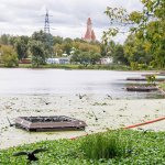 В пяти затонах Москвы-реки начали испытывать модули против цветения воды