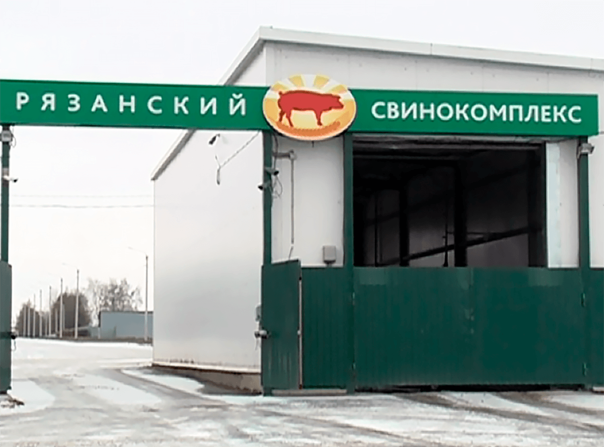 Углеродный войлок увеличил выход метана из стоков свинофермы почти на 46%