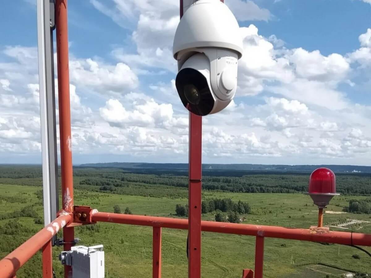 Камеры и мосты: два региона обновляют защиту лесов от пожаров