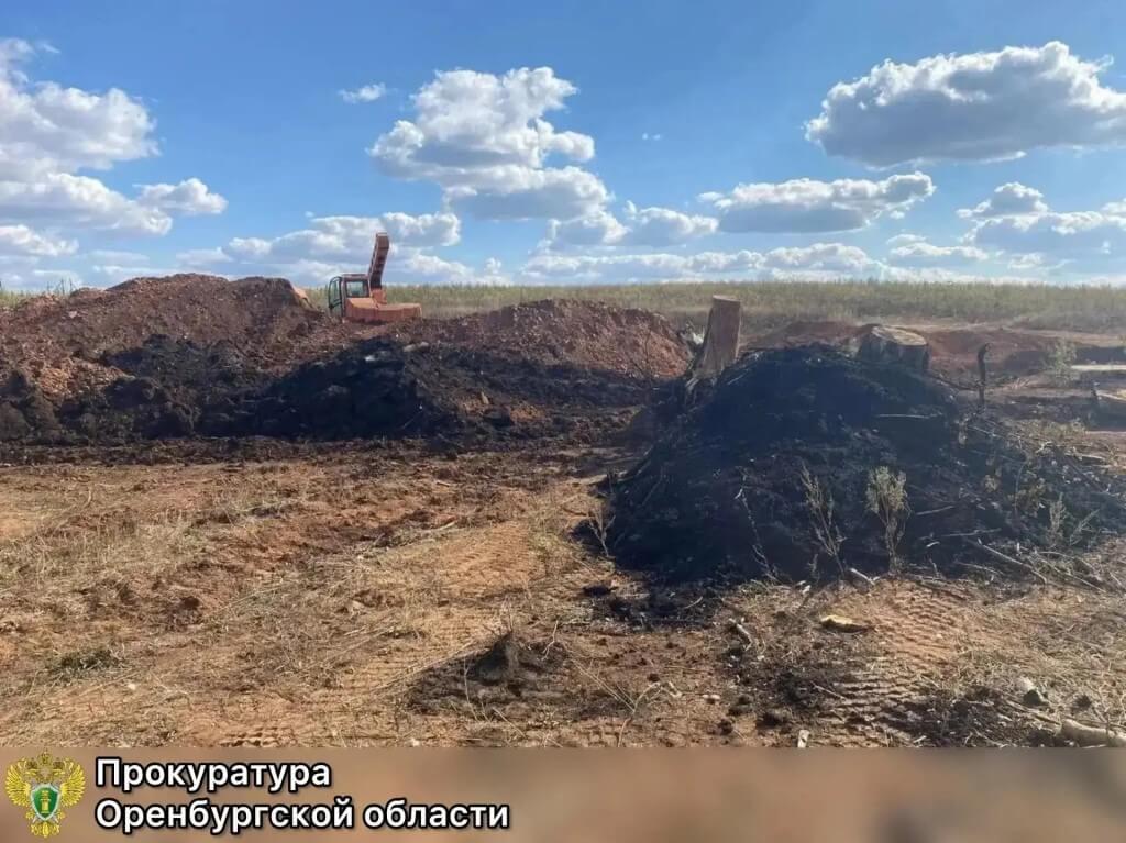 В Оренбуржье суд взыскал более 20 млн рублей за повреждение почвы