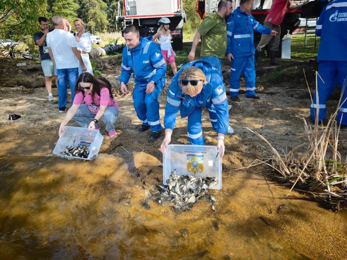 Более 11,5 тысяч молоди сазана выпустили в Шершневское водохранилище