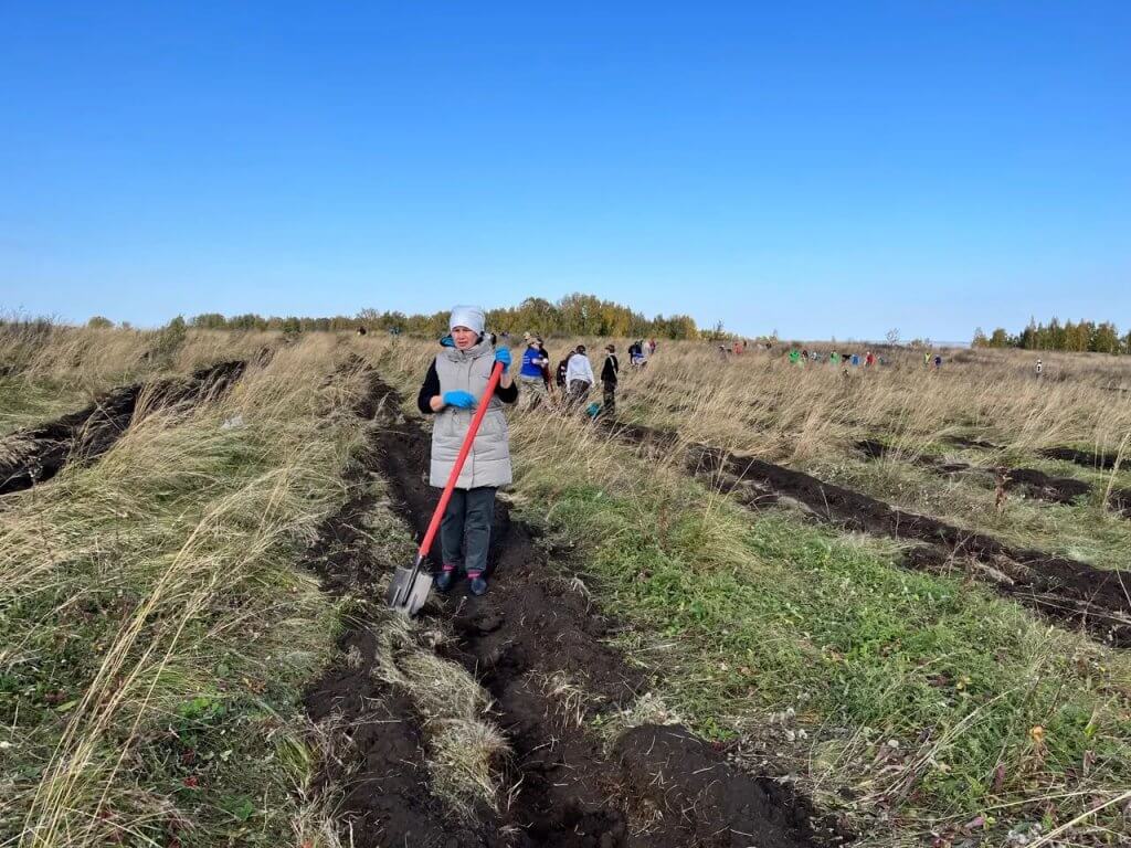 В природном парке «Кандры-Куль» высадили 8 тысяч лиственниц