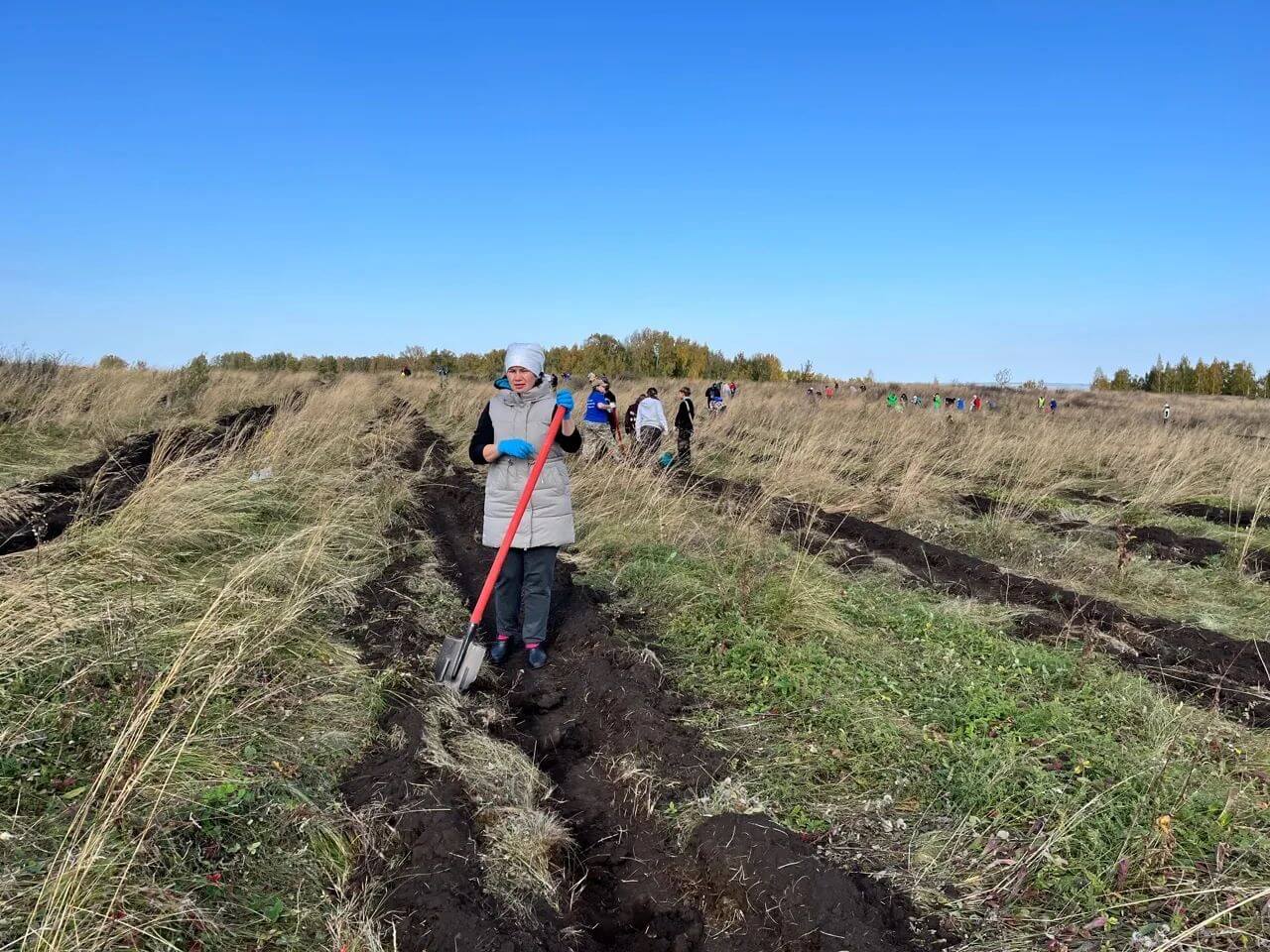 В природном парке «Кандры-Куль» высадили 8 тысяч лиственниц