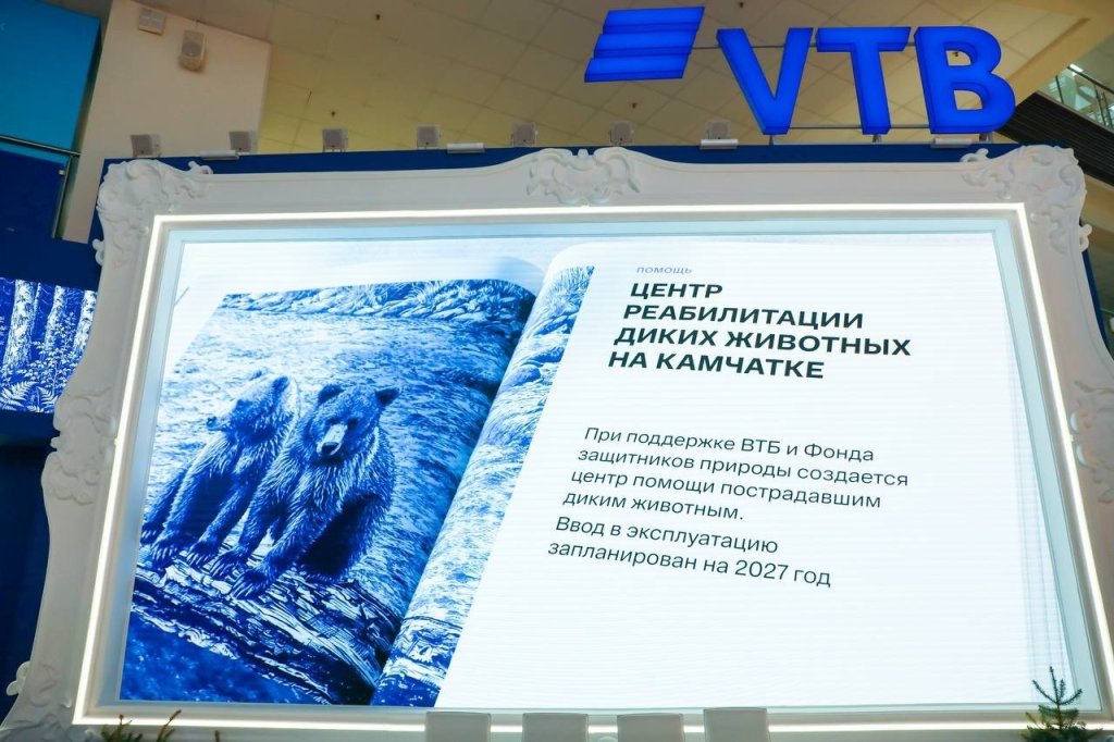 На Камчатке откроют центр реабилитации бурых медведей