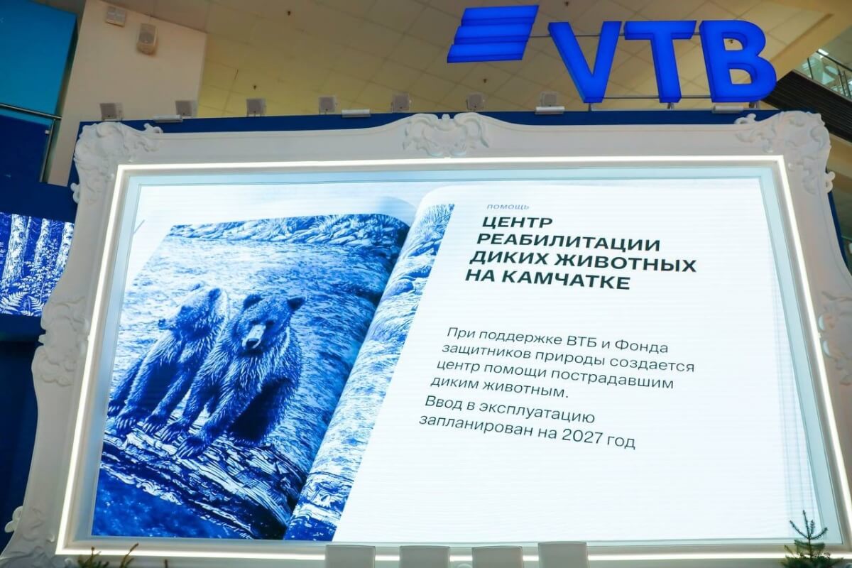 На Камчатке откроют центр реабилитации бурых медведей
