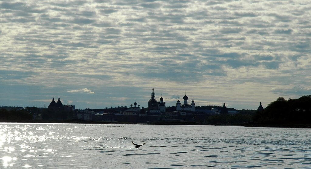 Мусор с берегов Белого моря может достигать Соловков: GPS-буи прошли до 511 километров