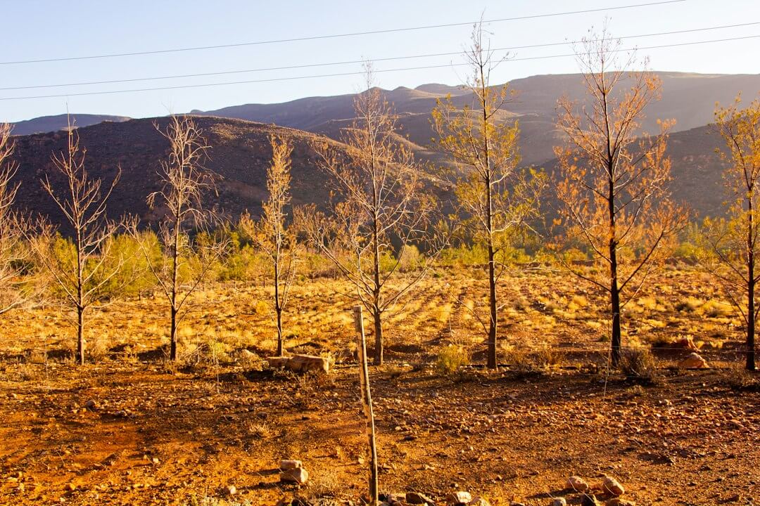 ООН поддержала запуск российского Business4Land для восстановления земель