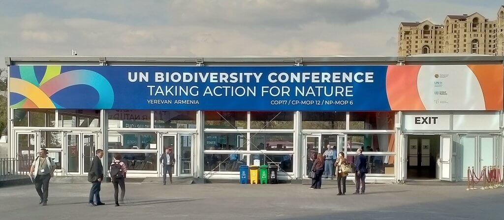 На COP17 разошлись позиции стран о финансировании охраны природы