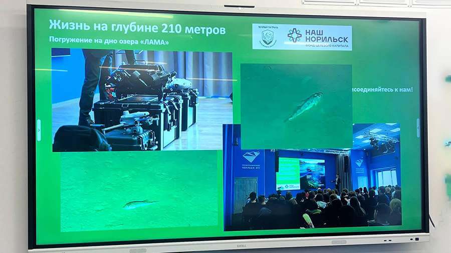 Дрон обнаружил в таймырском озере Лама новый вид рыб и ракообразных